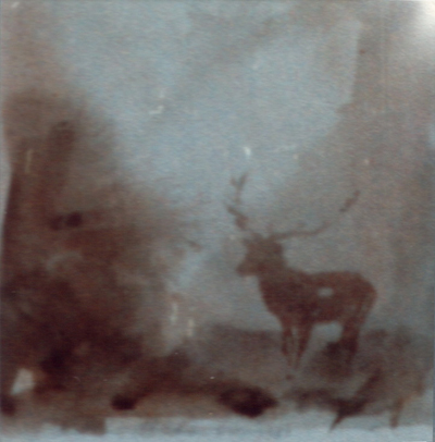 Bild Hirsch im Nebel von Uli Aschenborn